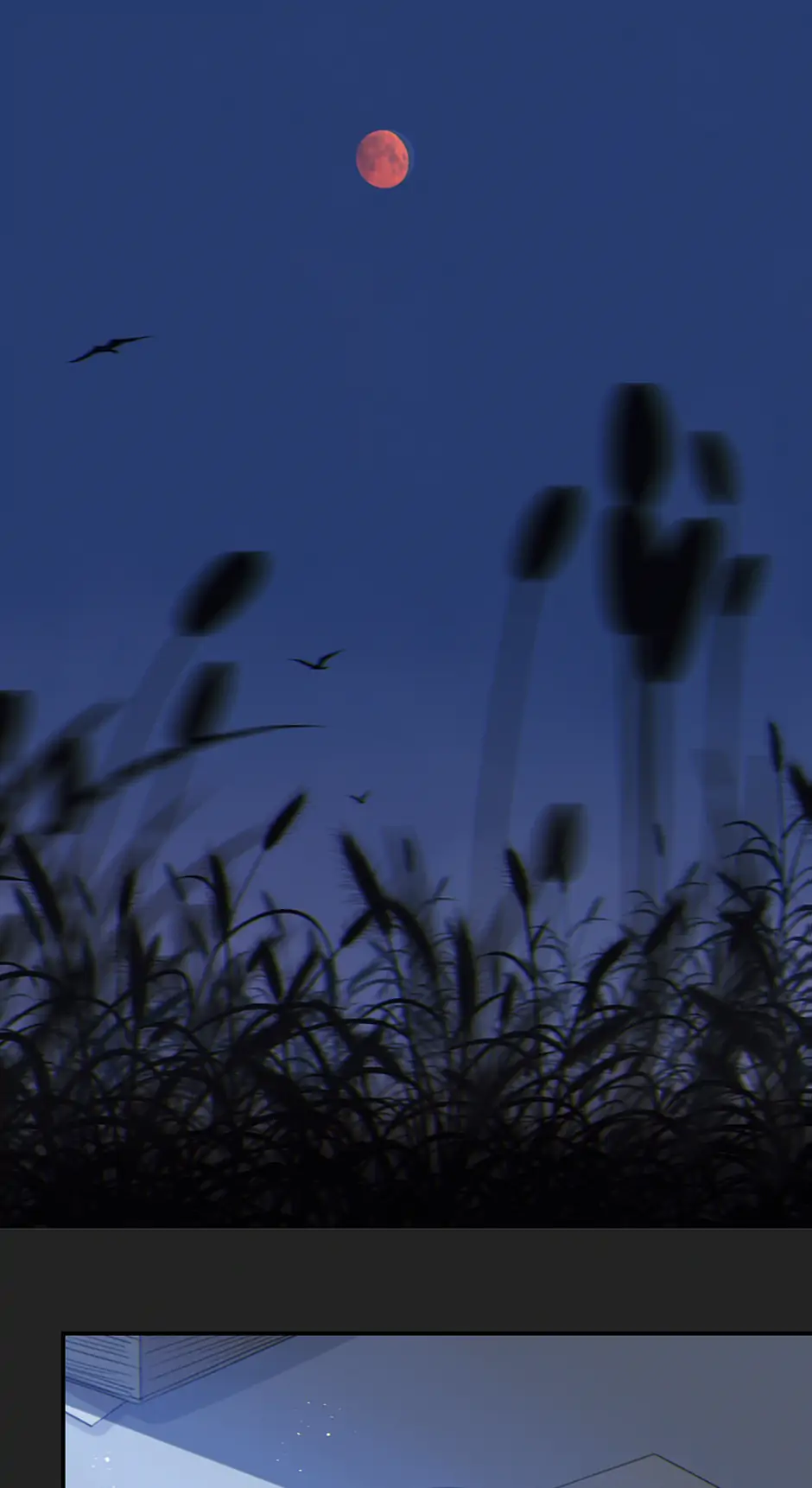 73371039 940 1722 29080